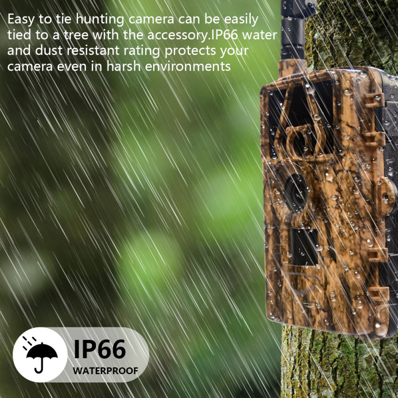 Kamera berburu PR801LTE infram - Outdoor Hunting Photography ulasan dan harga